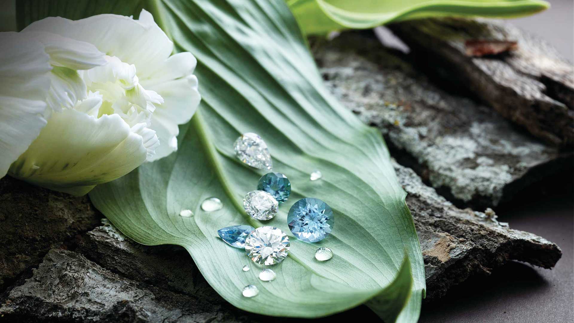 Best Diamond Jewelry Store Capitol Craftsman Concord NH